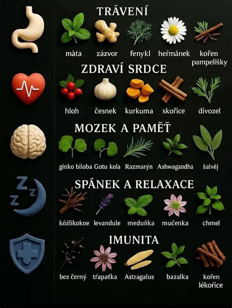 Upokojujúce bylinky na spánok