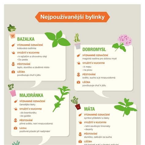 Infografika znázorňujúca bezpečné bylinky v tehotenstve oproti tým, ktorým sa treba vyhnúť.