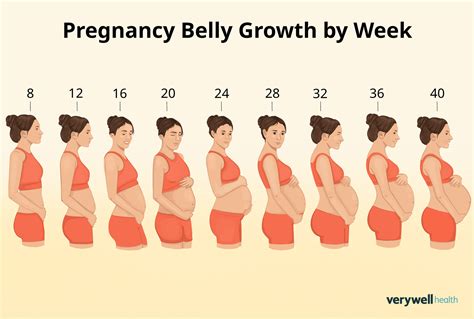 Image of a pregnant woman's growing belly over time