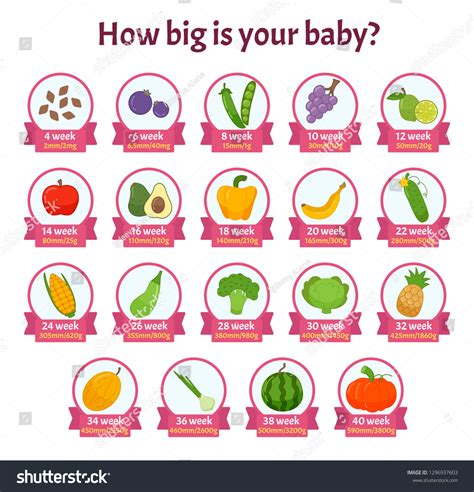 Comparison of baby sizes at birth