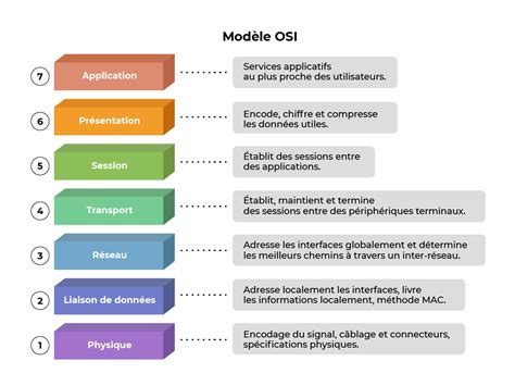 Schéma osi hypotalamus-hypofýza-gonády a vplyv AAS