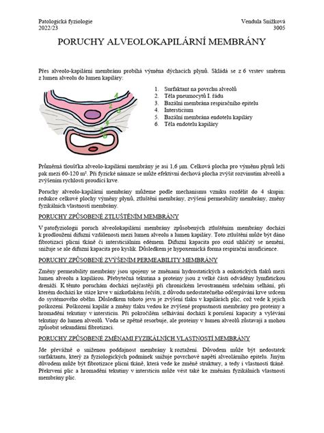 Diagram ukazujúci vrstvy oblečenia a funkcie membrány