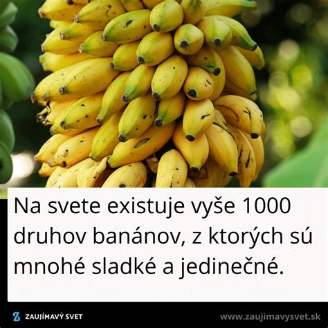Fotka rôznych druhov banánov