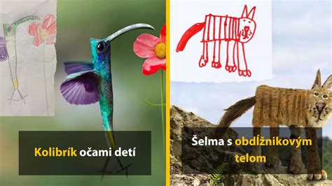 Detské kresby s rôznymi témami