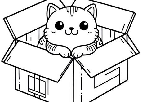 Mačka schovaná v krabici