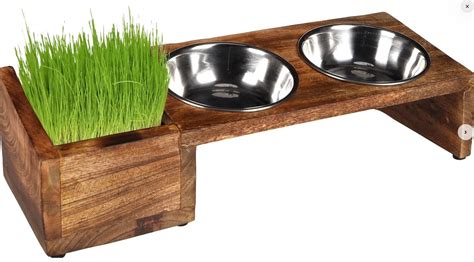 Mačka s miskou plnou jedla