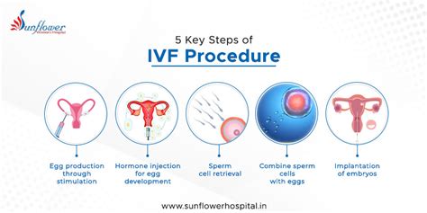 IVF štatistiky a úspešnosť