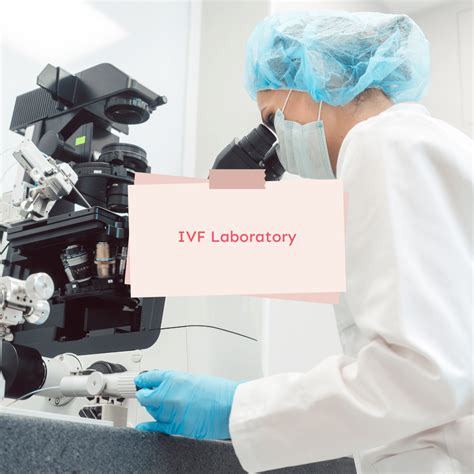 IVF laboratory with embryos