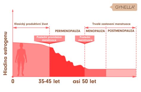 Schéma fáz menopauzy: perimenopauza, menopauza, postmenopauza