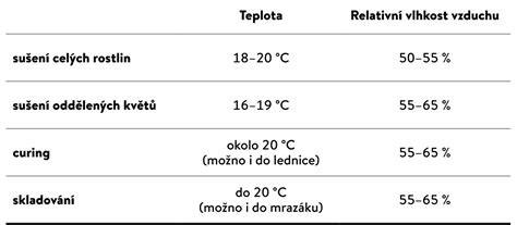 Kontrola teploty dieťaťa na zátylku