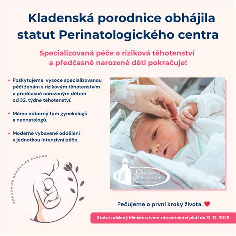Schéma perinatologického centra a jeho prepojenia s neonatologickou klinikou
