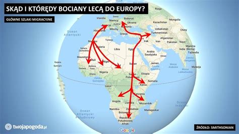 Mapa migračných trás bocianov bielych z Európy do Afriky