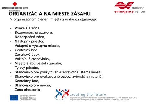 Organizácia starostlivosti v profesionálnych náhradných rodinách