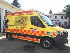 Sova v starostlivosti záchrannej stanice