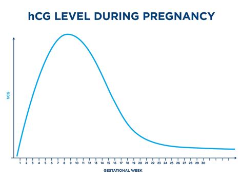 hCG hormone level chart during pregnancy