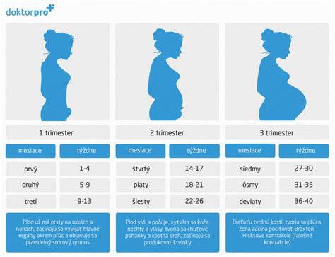 Infografika zobrazujúca skoré príznaky tehotenstva