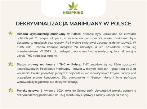 infografika - percentá užívateľov marihuany a riziko závislosti