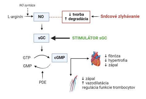 Diagram faktorov prispievajúcich k trichotillománii