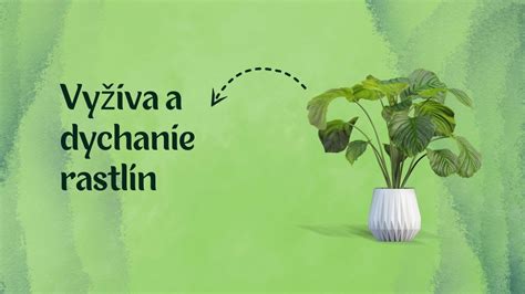 Schéma: Prejavy respiračného afektu