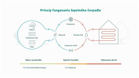 Vazektómia a jej princíp