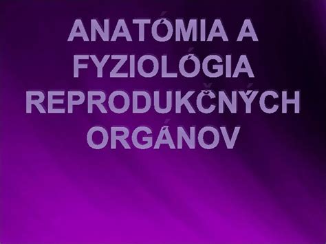 Anatomia psích reprodukčných orgánov