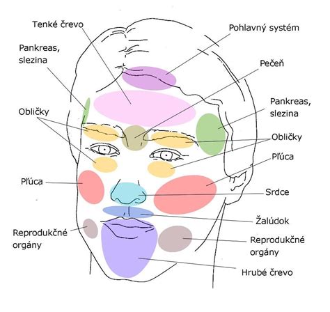 mapa T-zóny na tvári