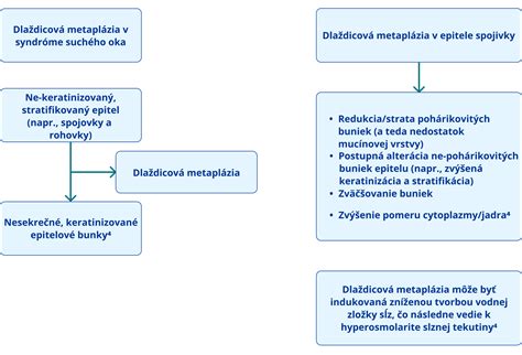 diagram zobrazujúci rozdiel medzi chronologickým a korigovaným vekom dieťaťa