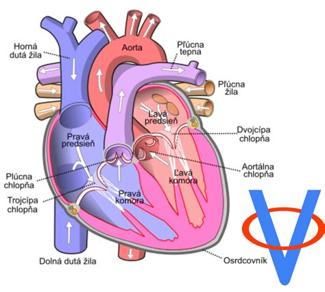 Symbol srdca s kvapkou krvi