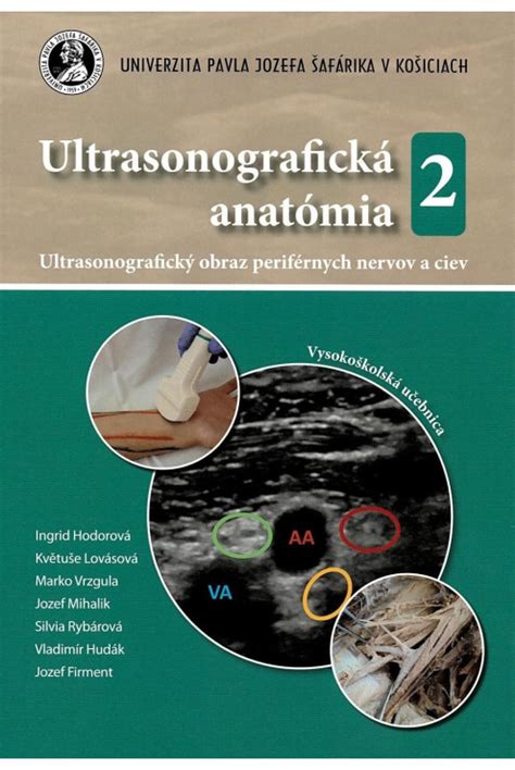 Anatómia jazykovej uzdičky