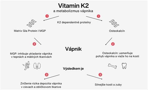 Infografika zdrojov vápnika