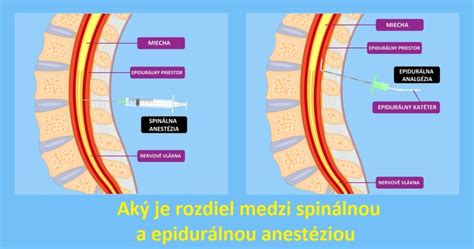Schéma dvoch zdrojov kyslíka pri pôrode (pľúca a pupočník)