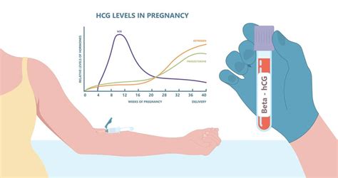 Diagnostické možnosti hCG testu mimo tehotenstva