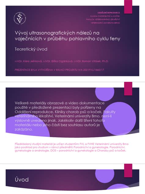 Ilustrácia reprodukčného cyklu feny