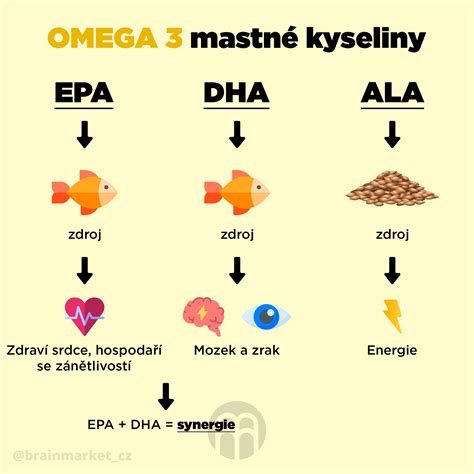 Omega-3 mastné kyseliny v bunkovej membráne