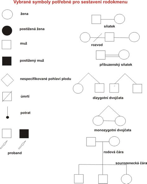 Štandardné genealogické symboly