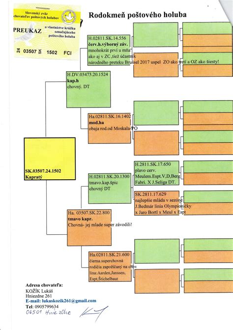 Modelový rodokmeň autozómovo dominantnej dedičnosti