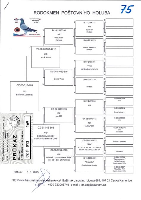 Modelový rodokmeň autozómovo recesívnej dedičnosti