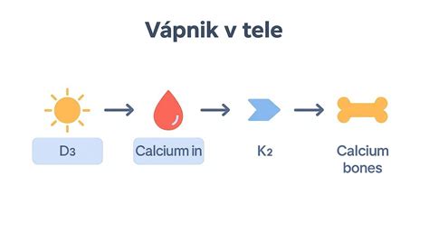 Diagram znázorňujúci synergické pôsobenie vápnika, vitamínu D a vitamínu K