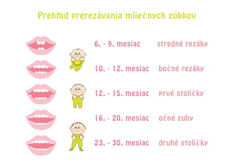Infografika: Časový harmonogram prerezávania mliečnych zubov