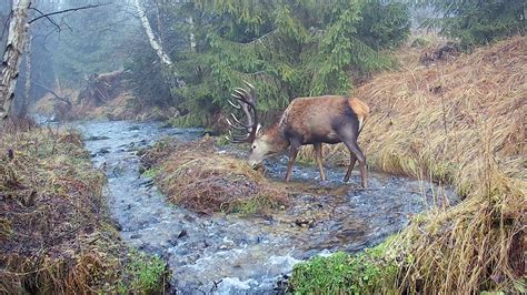 Záber z natáčania slovenskej romantickej komédie v prostredí Vysokých Tatier