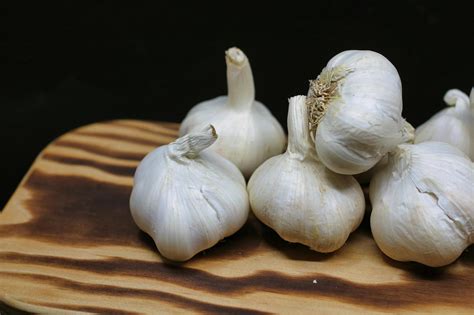 Cesnak a cibuľa v tehotenstve: mýty vs. fakty