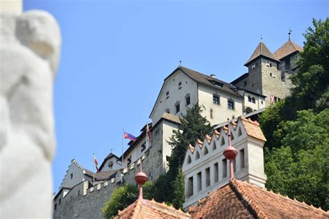 Kvitnúca lipa v letnom období