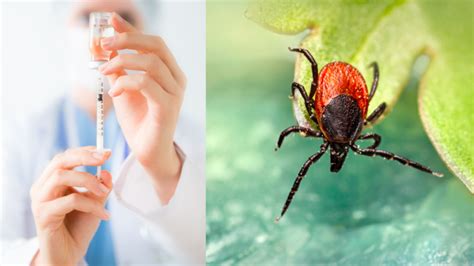 Očkovanie proti kliešťovej encefalitíde