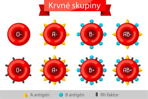 Grafika rozloženia krvných skupín AB0 na Slovensku