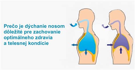 anatomické znázornenie dýchania nosom a ústami