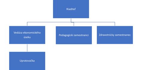 Štruktúra placenty s popisom materskej a plodovej strany