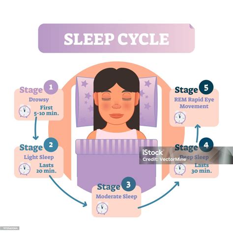 Spánkový cyklus novorodenca