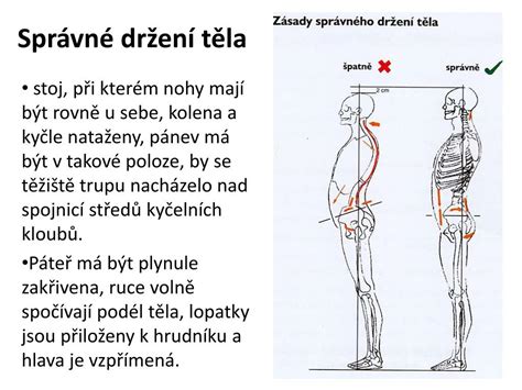 Nákresy lordózy, kyfózy a skoliózy