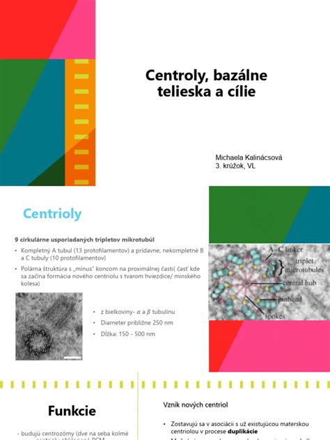 Schéma vaječníka s cystou žltého telieska