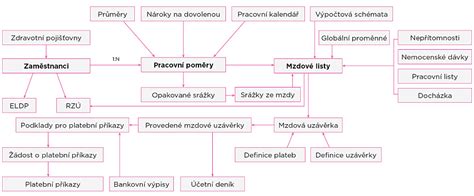 Štruktúra mzdy profesionálneho rodiča